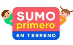 sumo primero en terreno