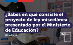 Ley Miscelánea