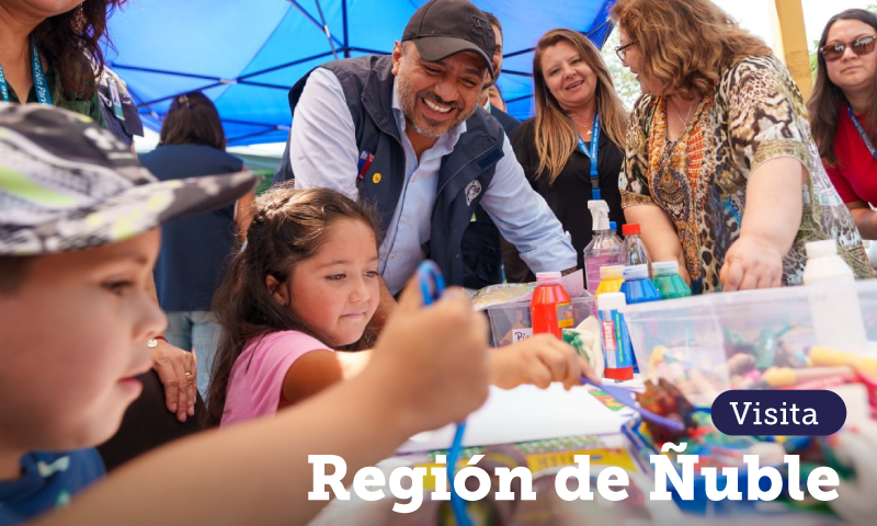 Ministro en Ñuble