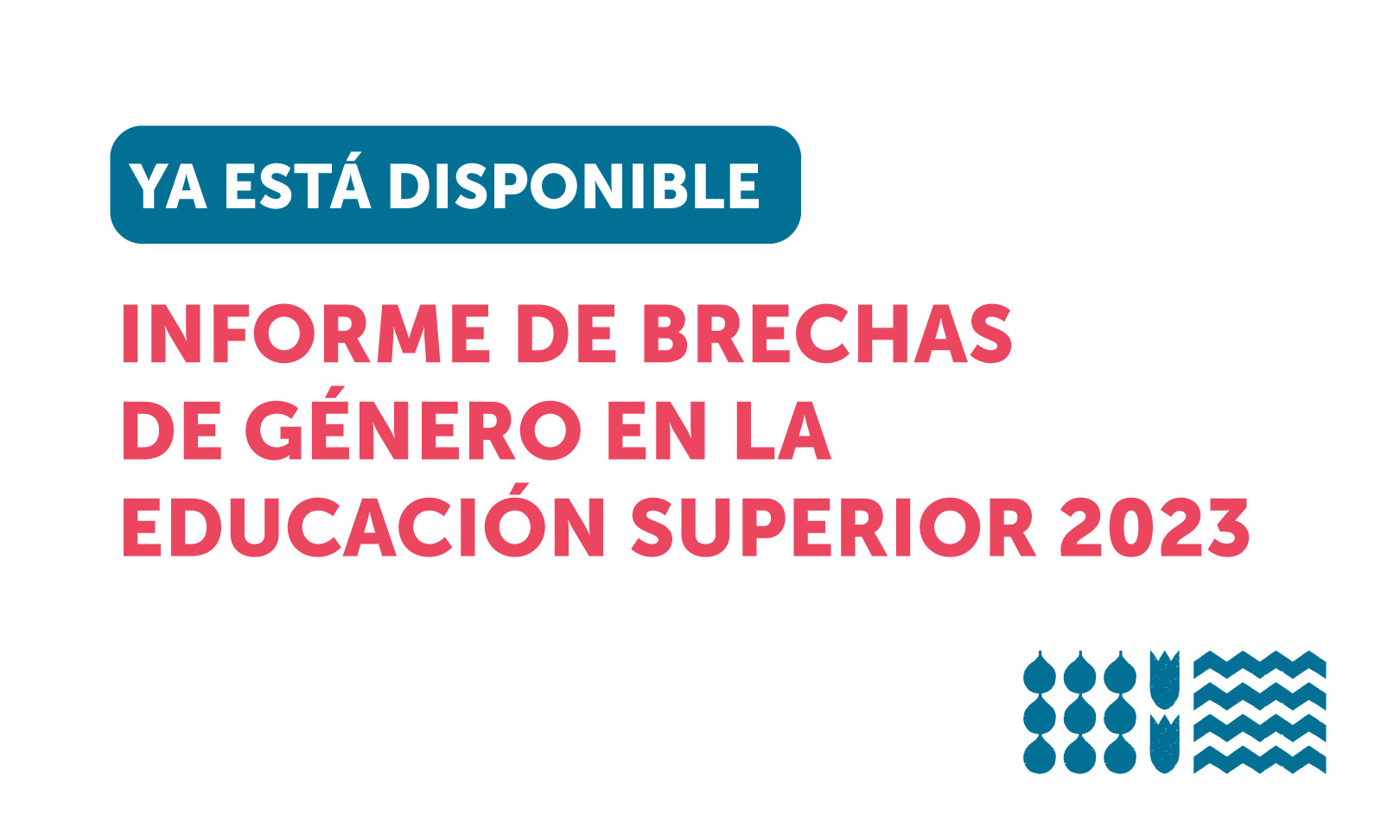 Informe de Brechas de Género en Educación Superior