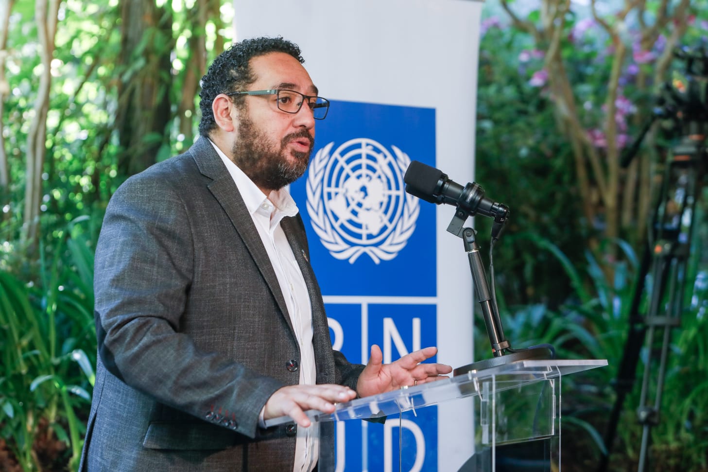 Consejo Asesor de la Estrategia de Desarrollo para la Educación Superior